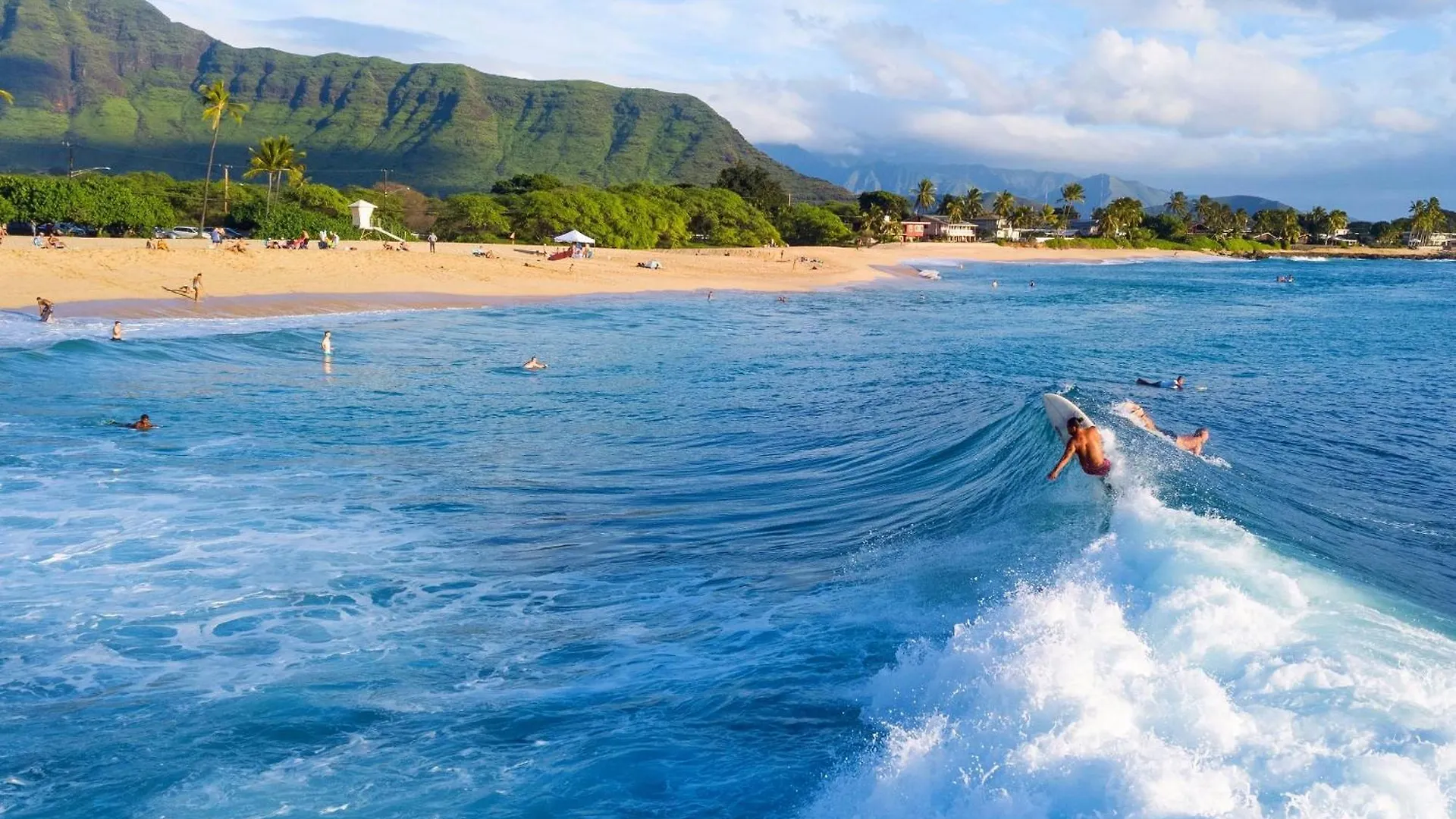 Vakantiehuis Ocean Escape By Avantstay 10 Min To Makaha Beach Brand New Ocean Views Waianae Verenigde Staten